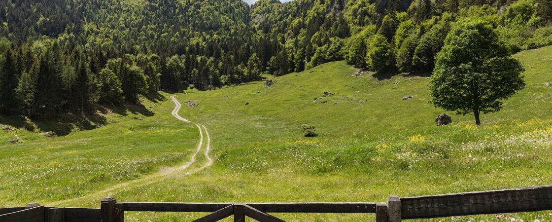 Cosa vedere a Trento: itinerario di un giorno