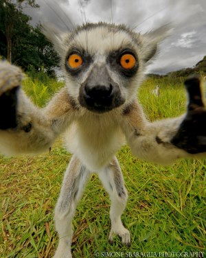 Madagascar - immagini dal pianeta terra