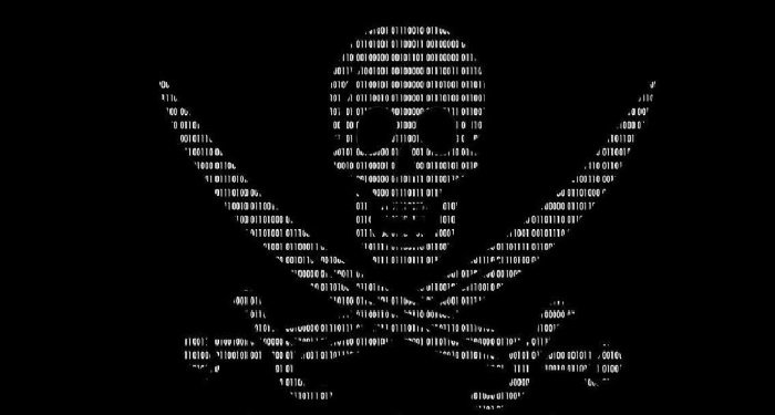 pirateria informatica