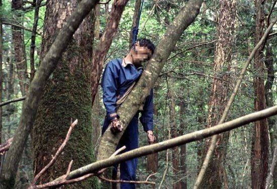 Aokigahara, la foresta giapponese dei suicidi evi