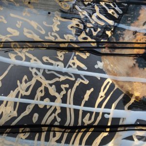 claudia meyer e i suoi segni di luce