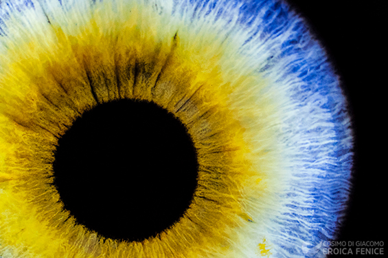 Oltre il buio: Blind Vision per l'Istituto Paolo Colosimo di Napoli