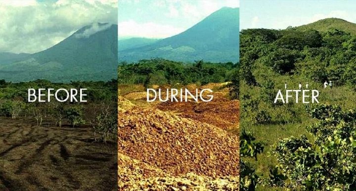 In Costarica la natura fa miracoli