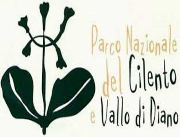 cilento