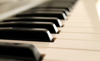 Plagi musicali, quando copiare non è un reato