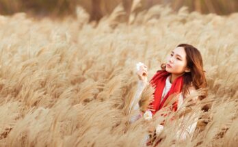proverbi cinesi