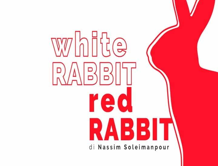 White Rabbit Red Rabbit al Piccolo Bellini
