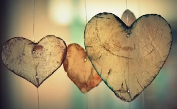 Poesie d'amore emozionanti, le cinque più belle da condividere