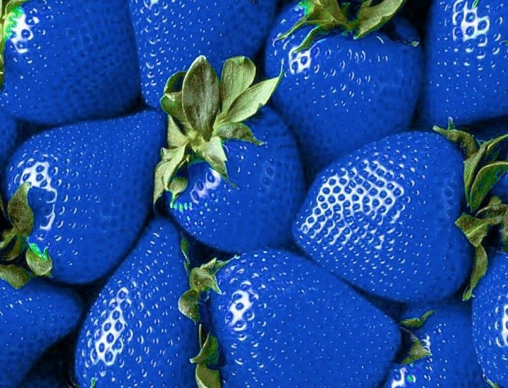 fragole blu