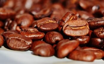 5 Curiosità sul caffè: quelle che non conosci!