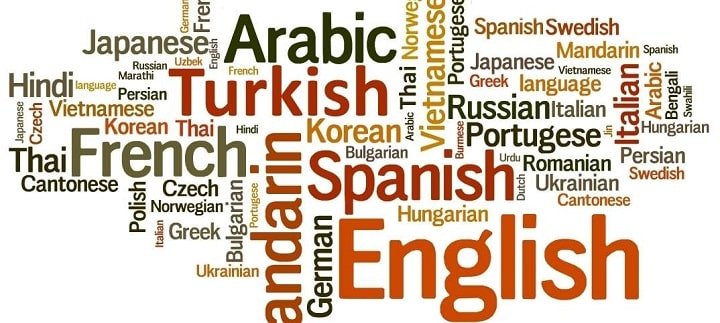 Idiomi: uso, caratteristiche e varietà della lingua