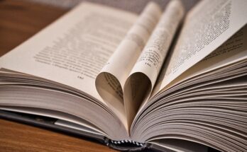 Libri romantici di cui innamorarsi: la classifica dei più famosi