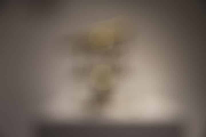 Fiona Annis-Teodolite ripetitore (apparent altitude)-della serie-La-Stanza-del-Tempo-Osservatorio Astronomico di Capodimonte, Napoli 2019