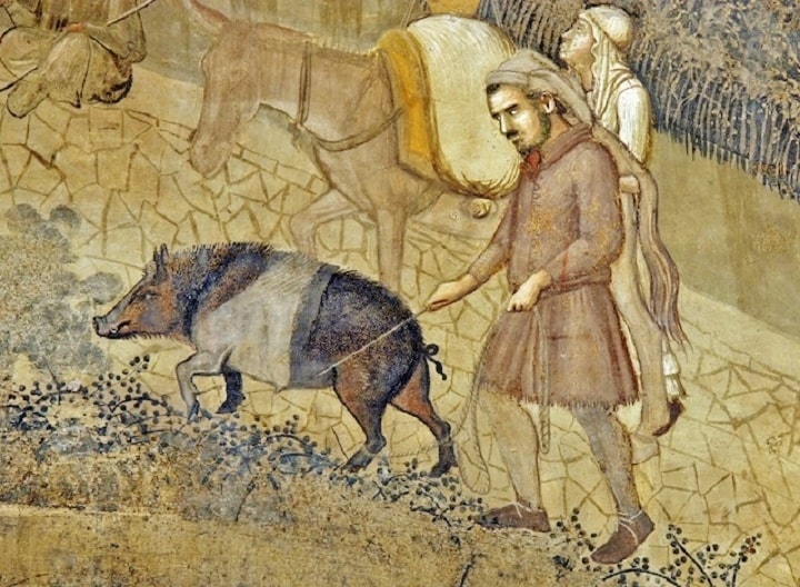 Testamentum Porcelli