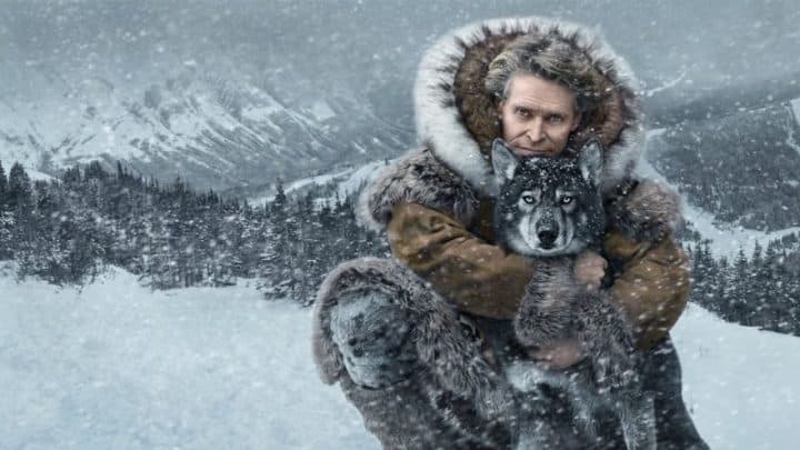 Togo : la storia dietro la leggenda di Balto