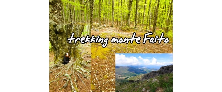 Monte Faito
