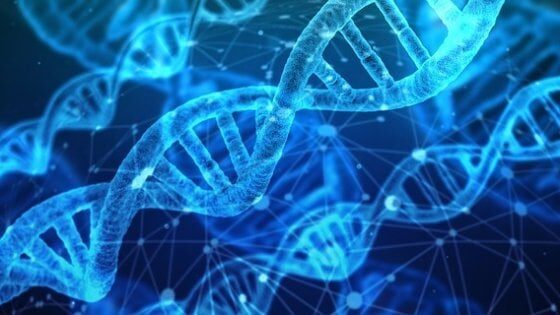 genetica e comportamento: esiste il libero arbitrio?