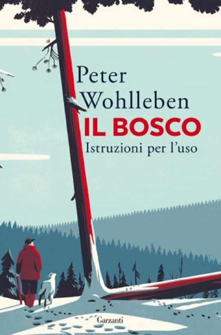 Il bosco