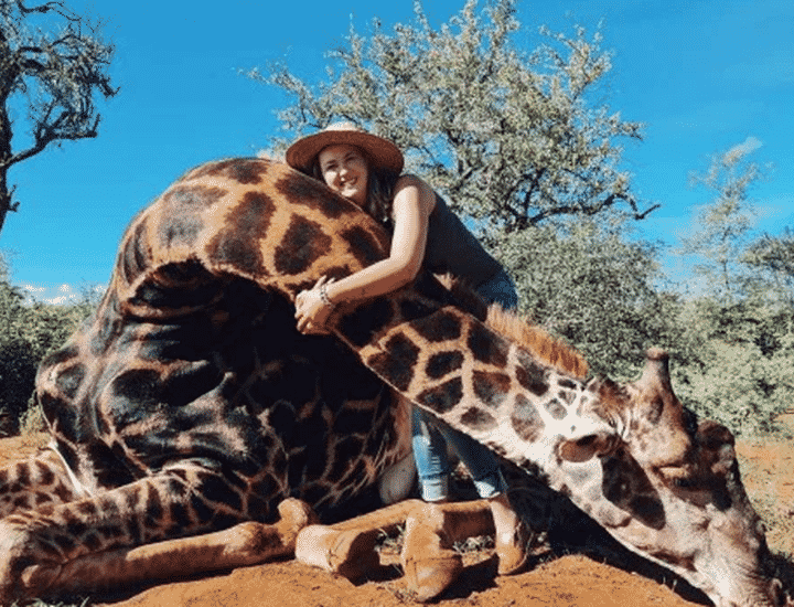 Uccide una giraffa e regala il cuore per San Valentino