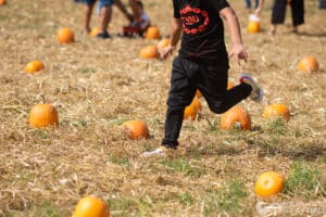 Il Giardino delle Zucche - Pumpkin Patch, un'oasi arancione a Pignataro Maggiore