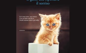 Il gatto che riportava il sorriso di Rachel Wells | Recensione