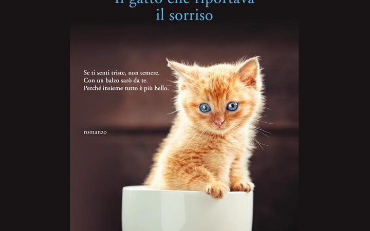 Il gatto che riportava il sorriso di Rachel Wells | Recensione