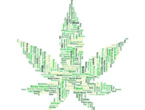 Referendum Cannabis Legale