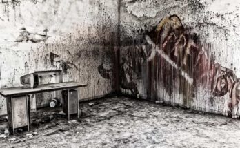 Manicomio di Mombello: &amp;quot;I pazzi cercateli fuori&amp;quot;