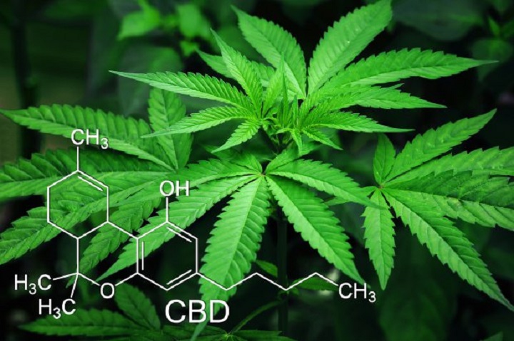 Consumo di cbd