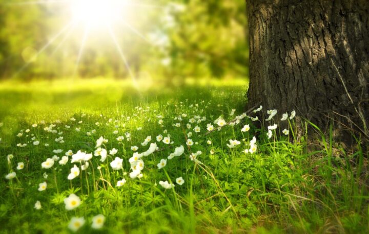 Natura e sostenibilità