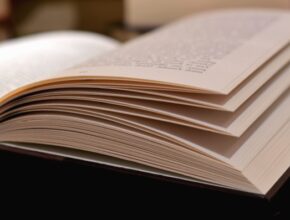 Furioso. L'ultimo canto, edito da Mondadori |Recensione