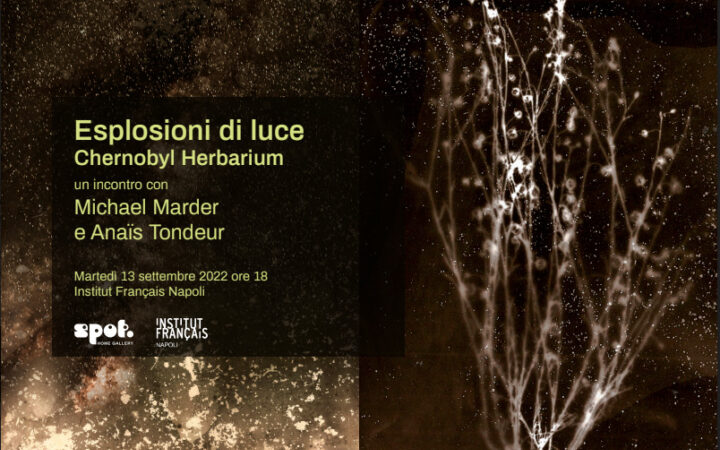 Esplosioni di Luce - Chernobyl Herbarium, il progetto ambientalista di Tondeur e Marder