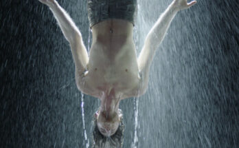 bill viola