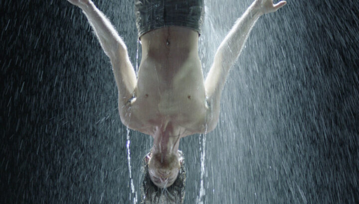 bill viola