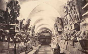 Catacombe dei Cappuccini