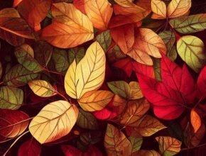 Poesie sull'autunno