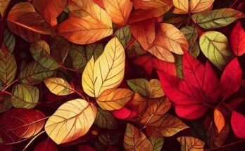 Poesie sull'autunno