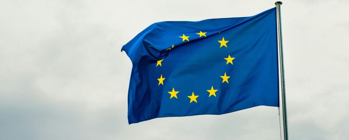 Europrogettista, chi è e cosa fa