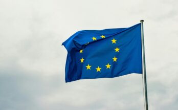 Europrogettista, chi è e cosa fa