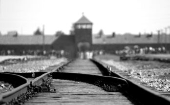 documentari sulla Shoah