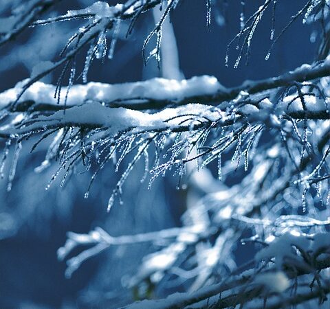 Inverno