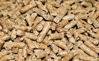 Biomasse: cosa sono e come funzionano