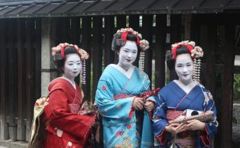 Le geishe, maiko e la Geisha, intrattenitrici donne mentre i taikomochi