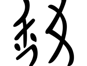 Nushu, la lingua cinese segreta