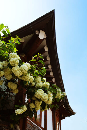 Casa Bukchon Hanok Village Corea del Sud