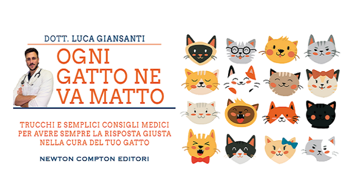 Ogni gatto ne va matto
