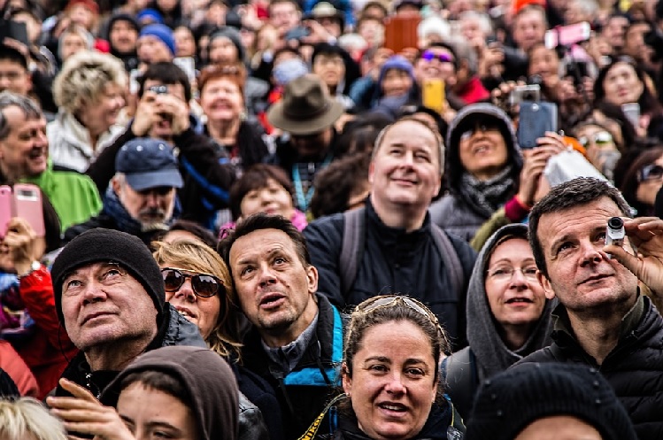 La Festa dei Gigli: 4 cose da sapere