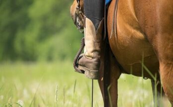 Cowgirl del West: le donne della frontiera americana