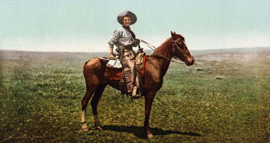 Un cowboy sul suo cavallo