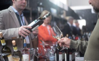 Paestum Wine Fest: il salone del vino campano